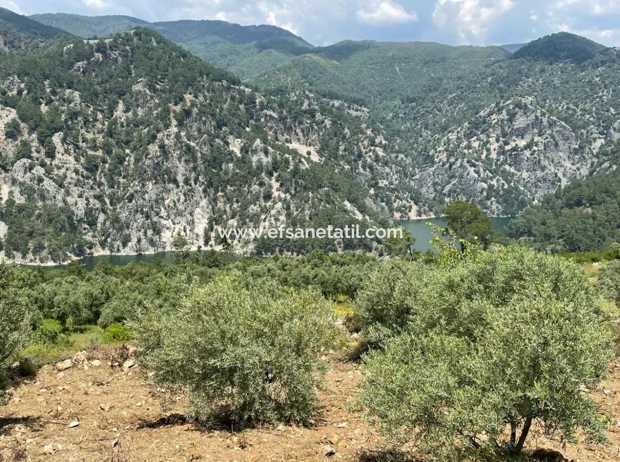 Dalaman, 500M2 On The Side Of Bozbel Dam