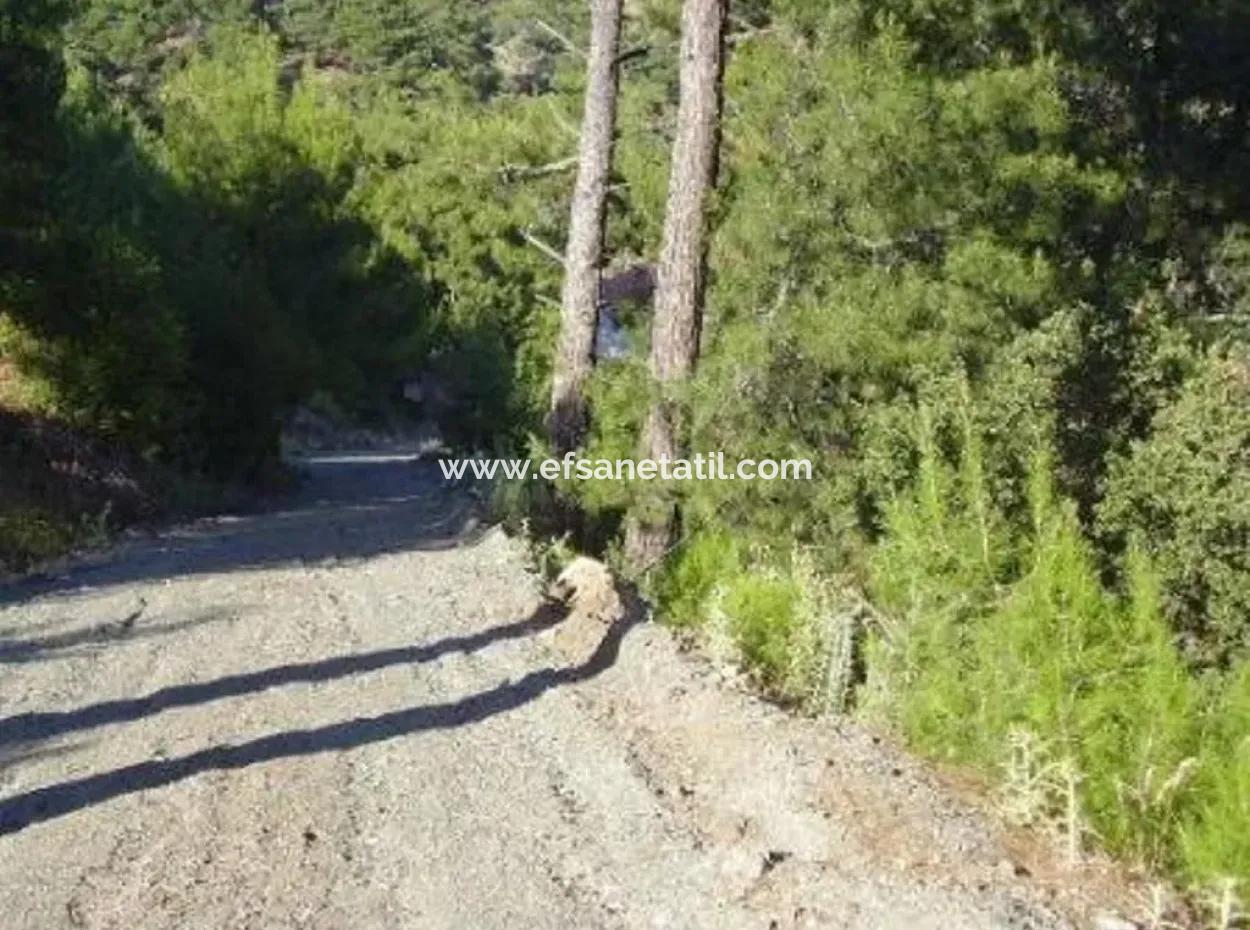 12.926 N2 Sea View Land For Sale In Köyceğiz Ekincik