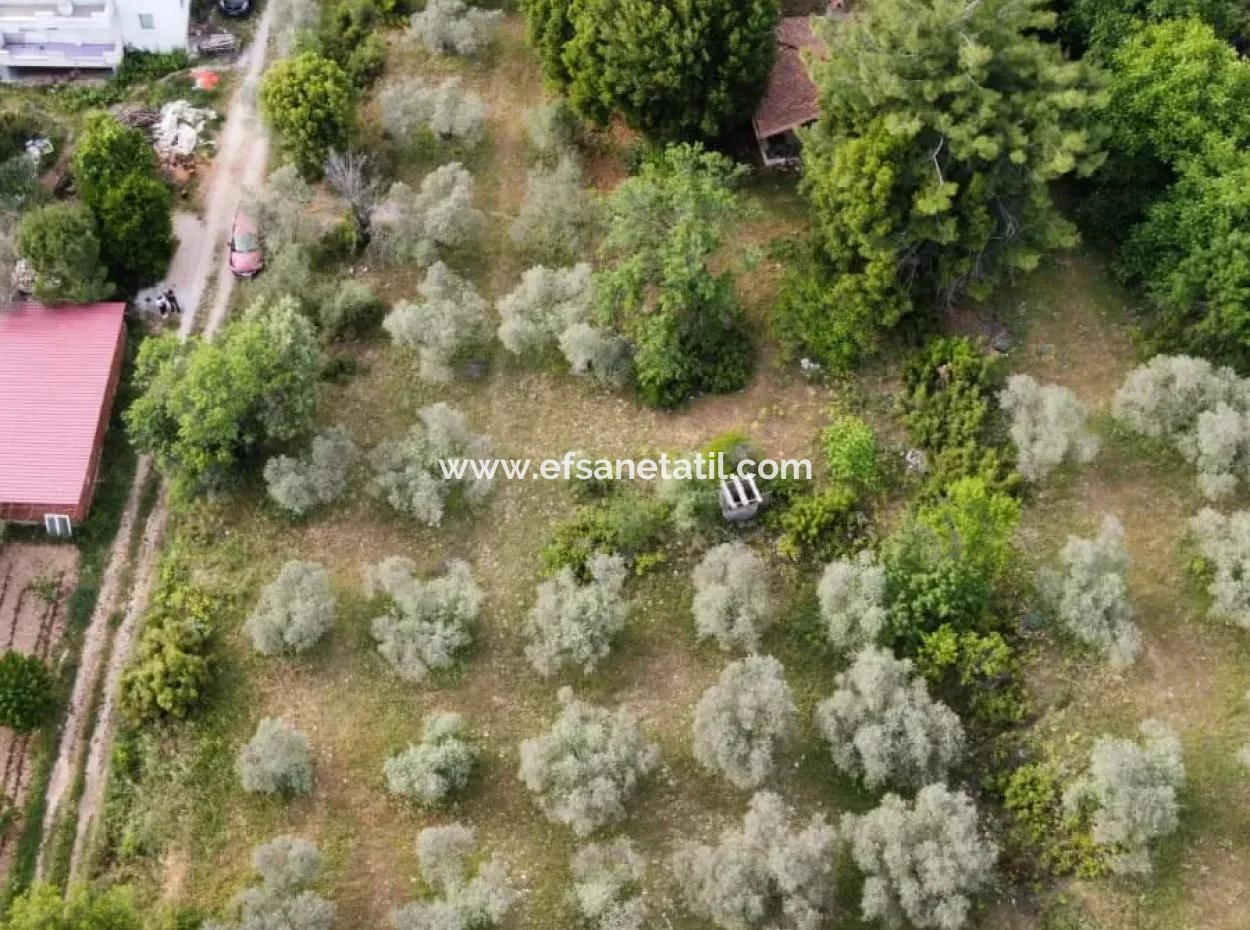 1228 M2 Land And Kargir House For Sale In Muğla Menteşe Yaraş, Village In Village.   
