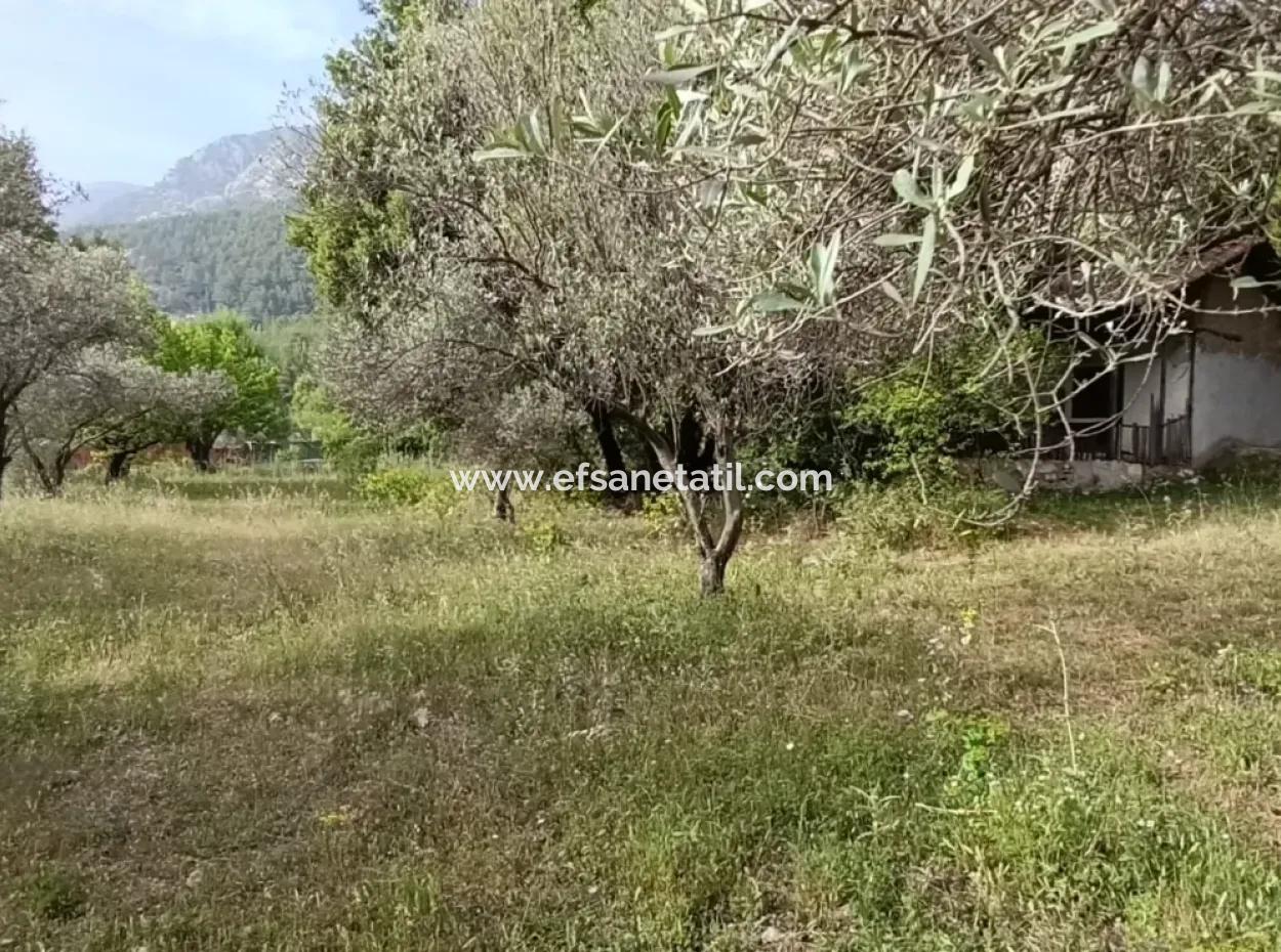 1228 M2 Land And Kargir House For Sale In Muğla Menteşe Yaraş, Village In Village.   
