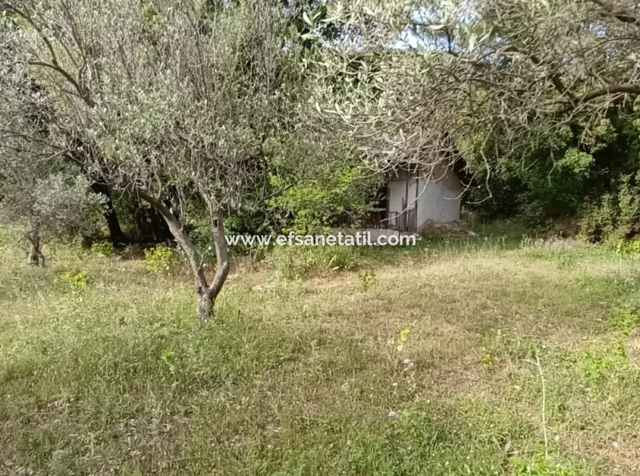 1228 M2 Land And Kargir House For Sale In Muğla Menteşe Yaraş, Village In Village.   