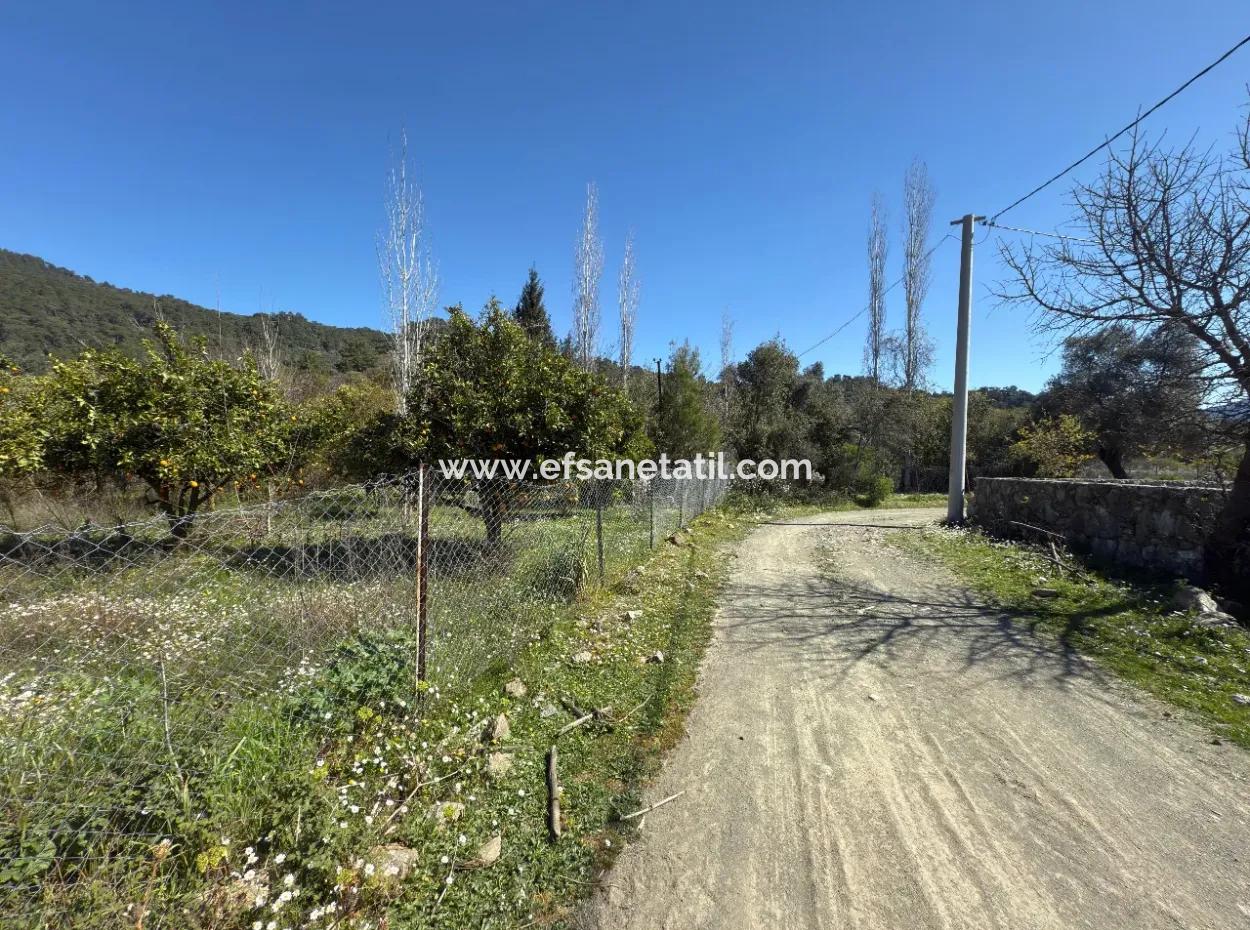 1000 M2 Land For Sale In Köyceğiz Çandır