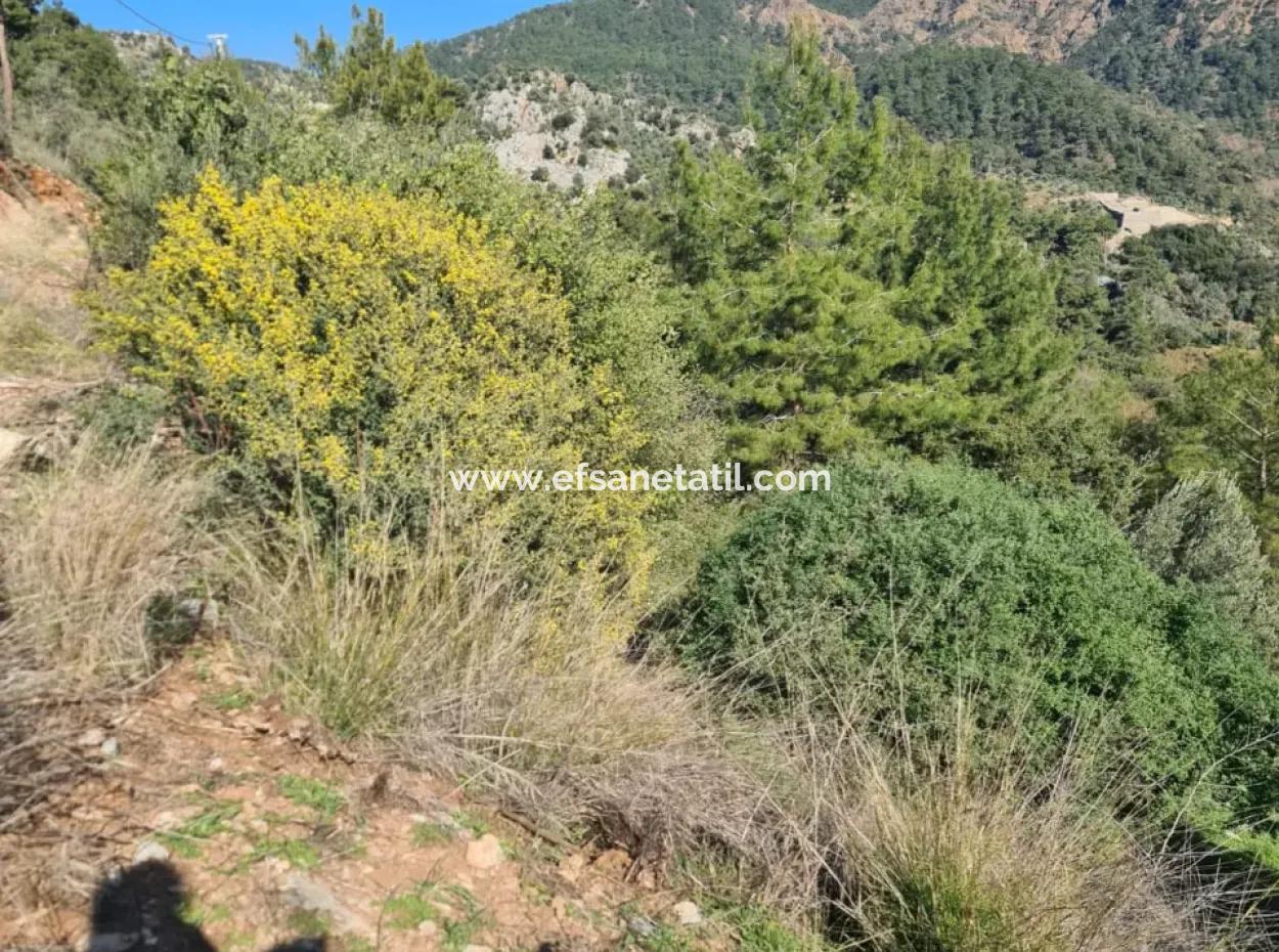 15.000 M² Detached Land With A Partial Sea View Is For Sale In Muğla Fethiye İnlice Mahallesi Kertmeç Location.