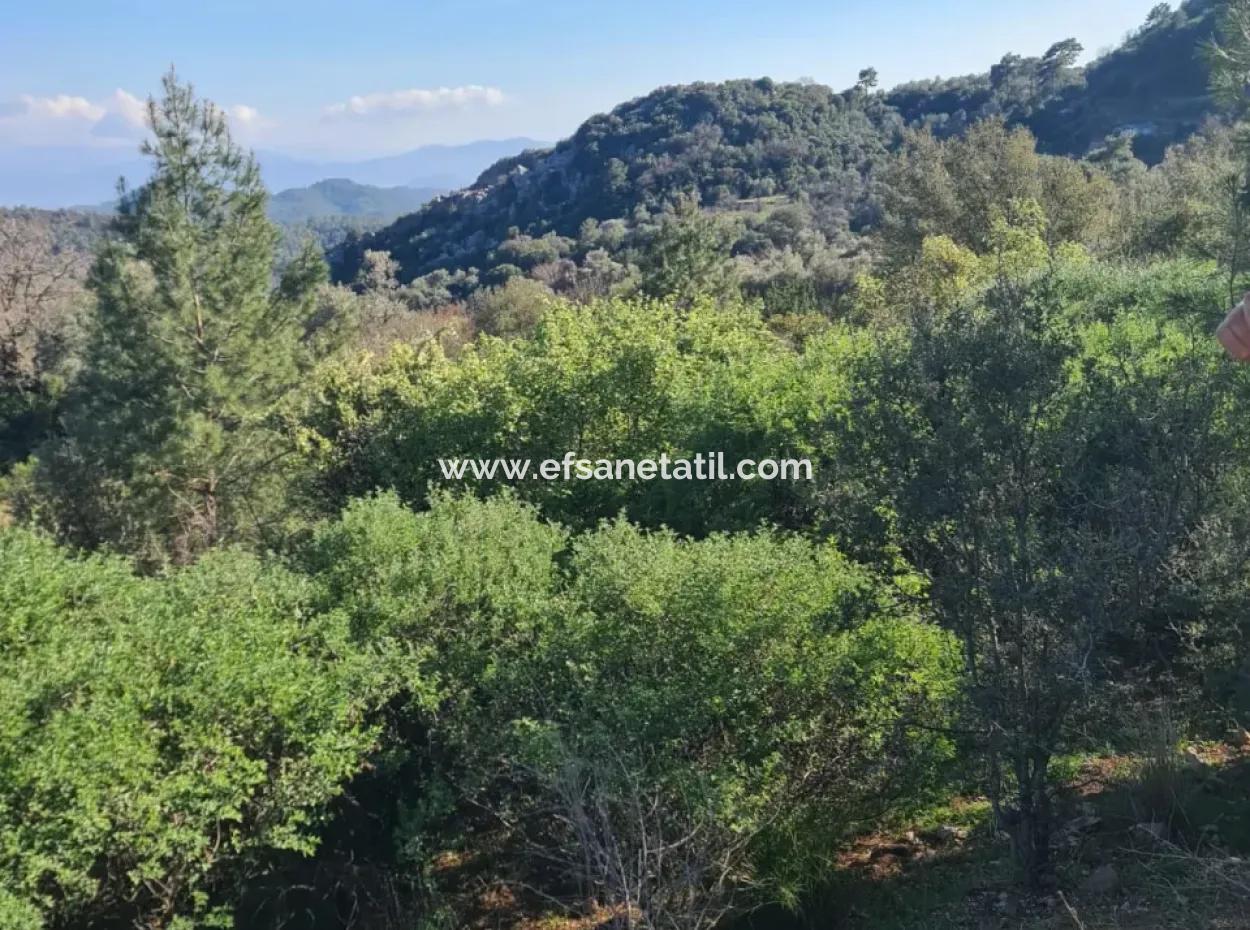 15.000 M² Detached Land With A Partial Sea View Is For Sale In Muğla Fethiye İnlice Mahallesi Kertmeç Location.