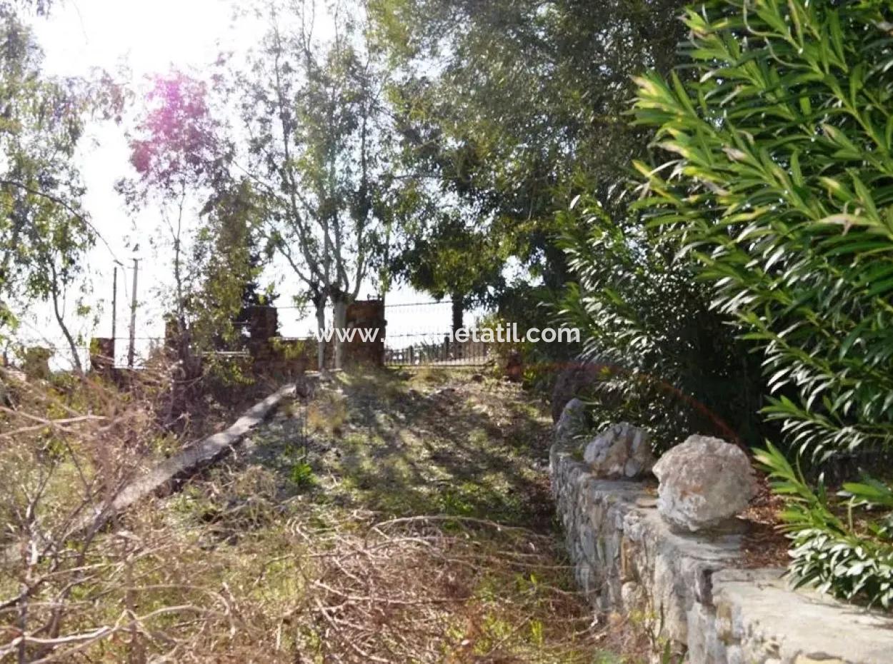 6 165 M2, 18 Villa Zoned Land Suitable For Mass Housing In Dalaman Will Be Given In Return For Floors