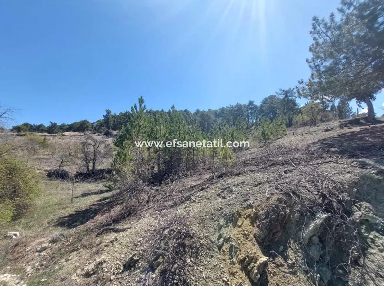 Bargain Land For Sale In Çameli Gökçeyaka 1 844 M2 Detached Land For Sale.