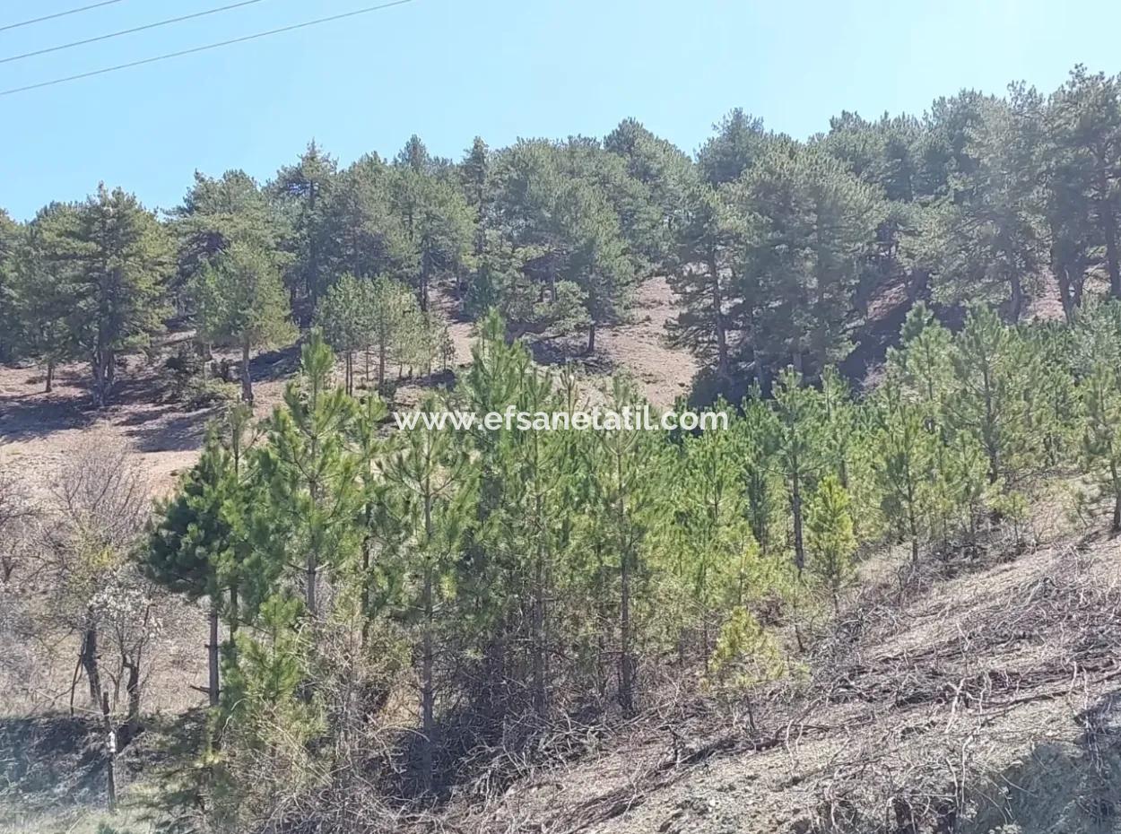 Bargain Land For Sale In Çameli Gökçeyaka 1 844 M2 Detached Land For Sale.