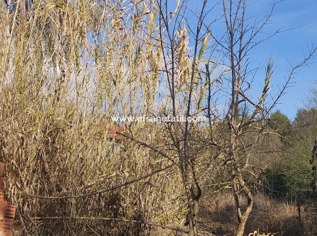 850 M2, 25/50 Residential Zoned Land Close To The Lake In Köyceğiz For Sale