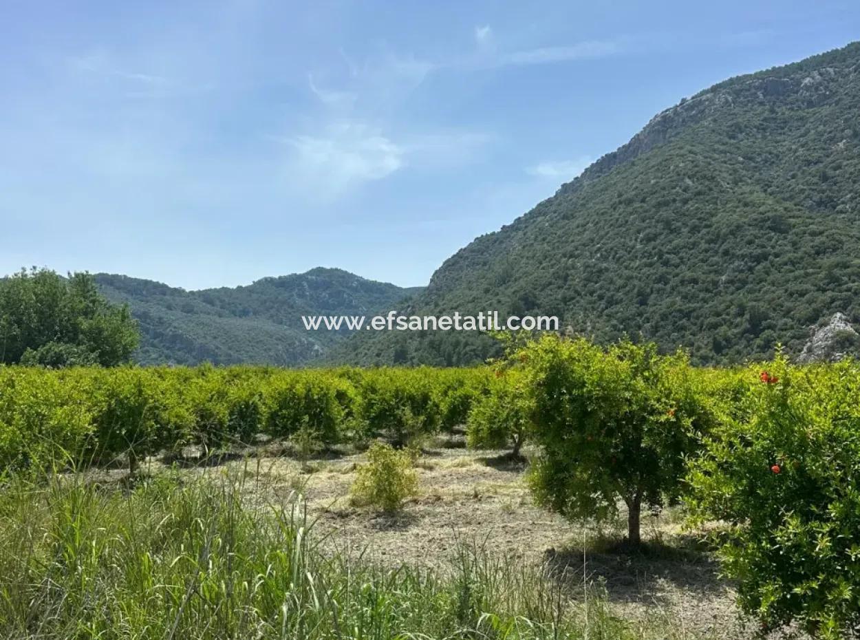 13 500 M2 Field For Sale In Ortaca Mergenli