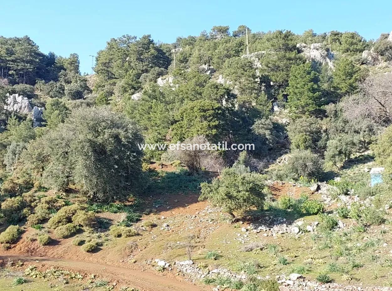 5.216 M2, 2B Land For Sale In Ortaca Gökbelde With Detached Title Deed Sea View