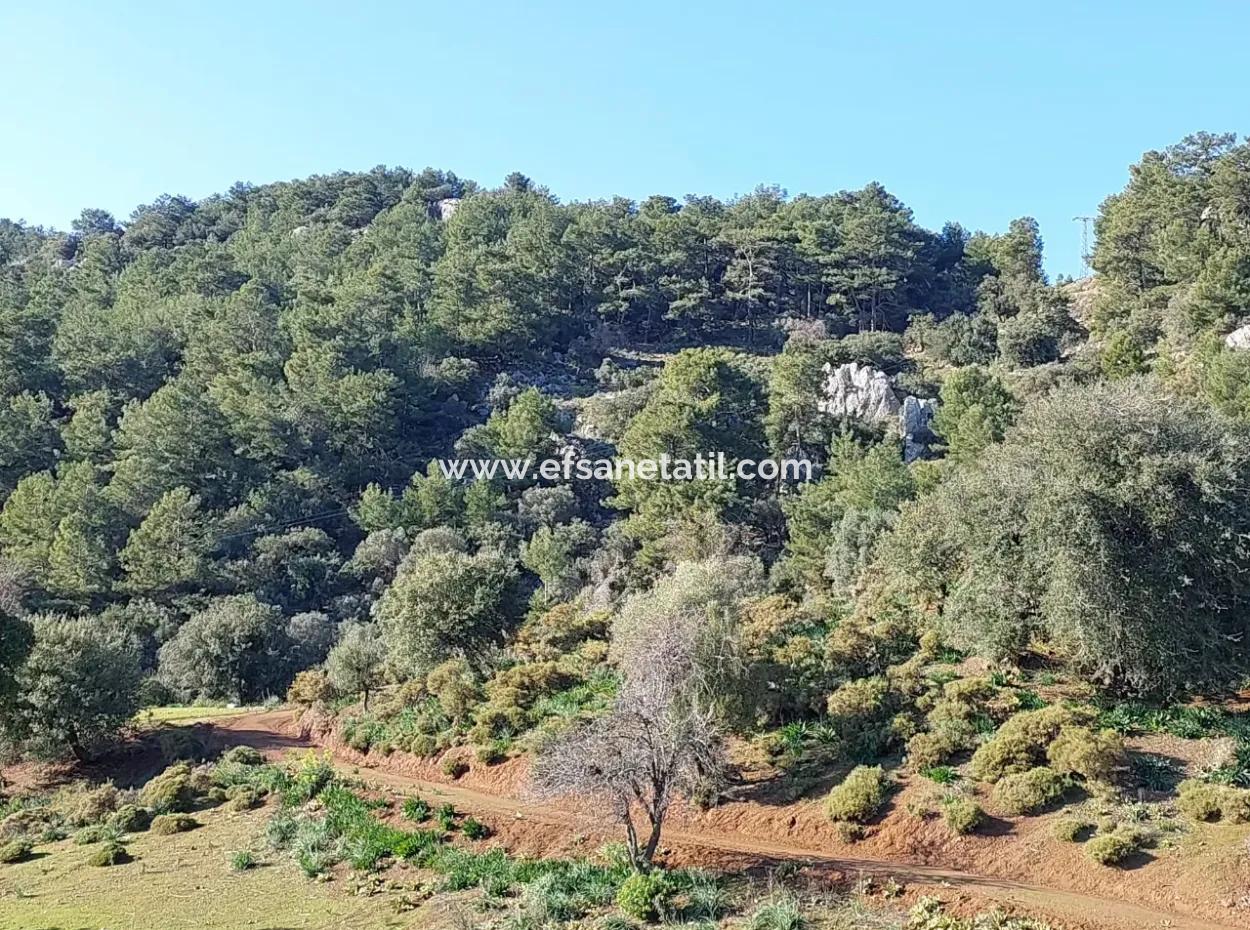5.216 M2, 2B Land For Sale In Ortaca Gökbelde With Detached Title Deed Sea View