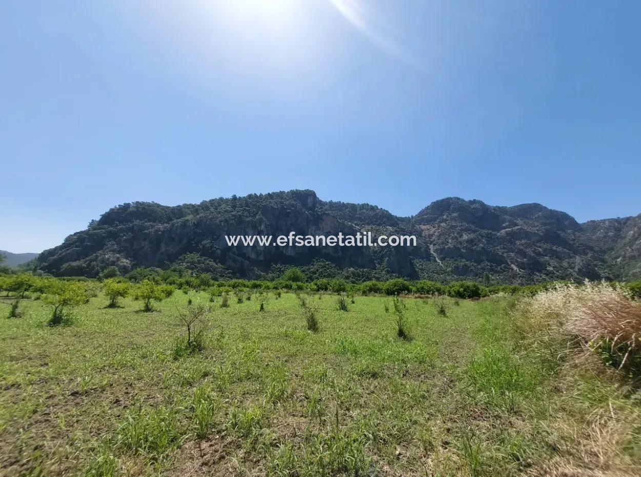 Land For Sale In Muğla Marmarlı In 5 800 M2 Zoning Plan Suitable For Investment