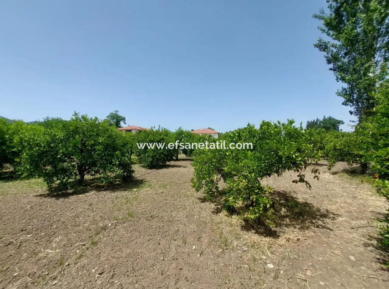 500 M2 Land With Rızai Partition In Ortaca Kemaliye For Emergency Sale