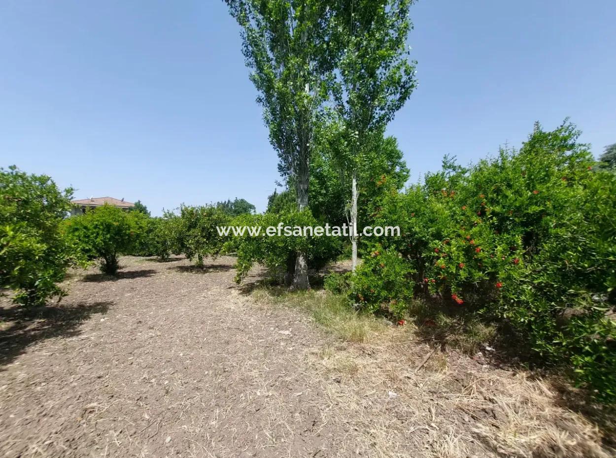 500 M2 Land With Rızai Partition In Ortaca Kemaliye For Emergency Sale