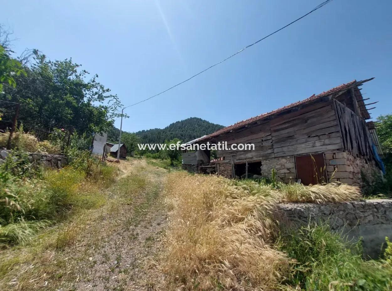 2500 M2 Detached 2 Houses And Barns, Warehouse For Sale In Çameli Kızılyaka