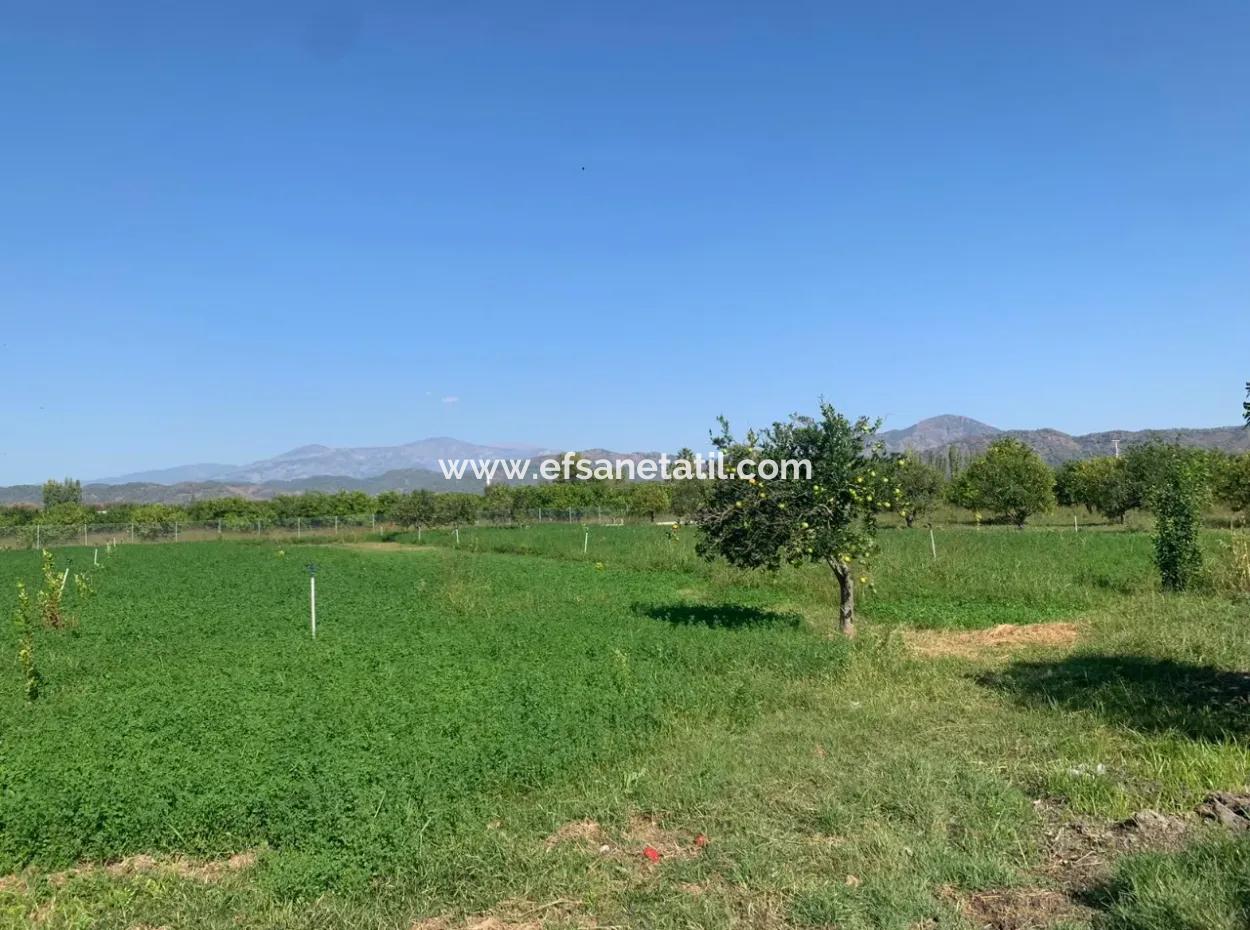 5400 M2 Ready-Made Farm For Sale In Ortaca Arıkbaşı