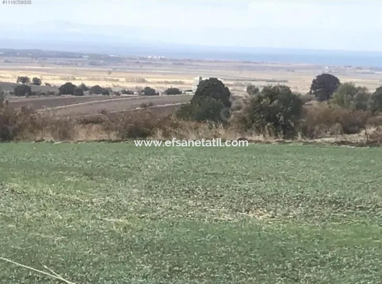 Canakkale Biga Koruobada Sea View Bargain 9 715 M2 Detached Detached Fertile Land For Sale