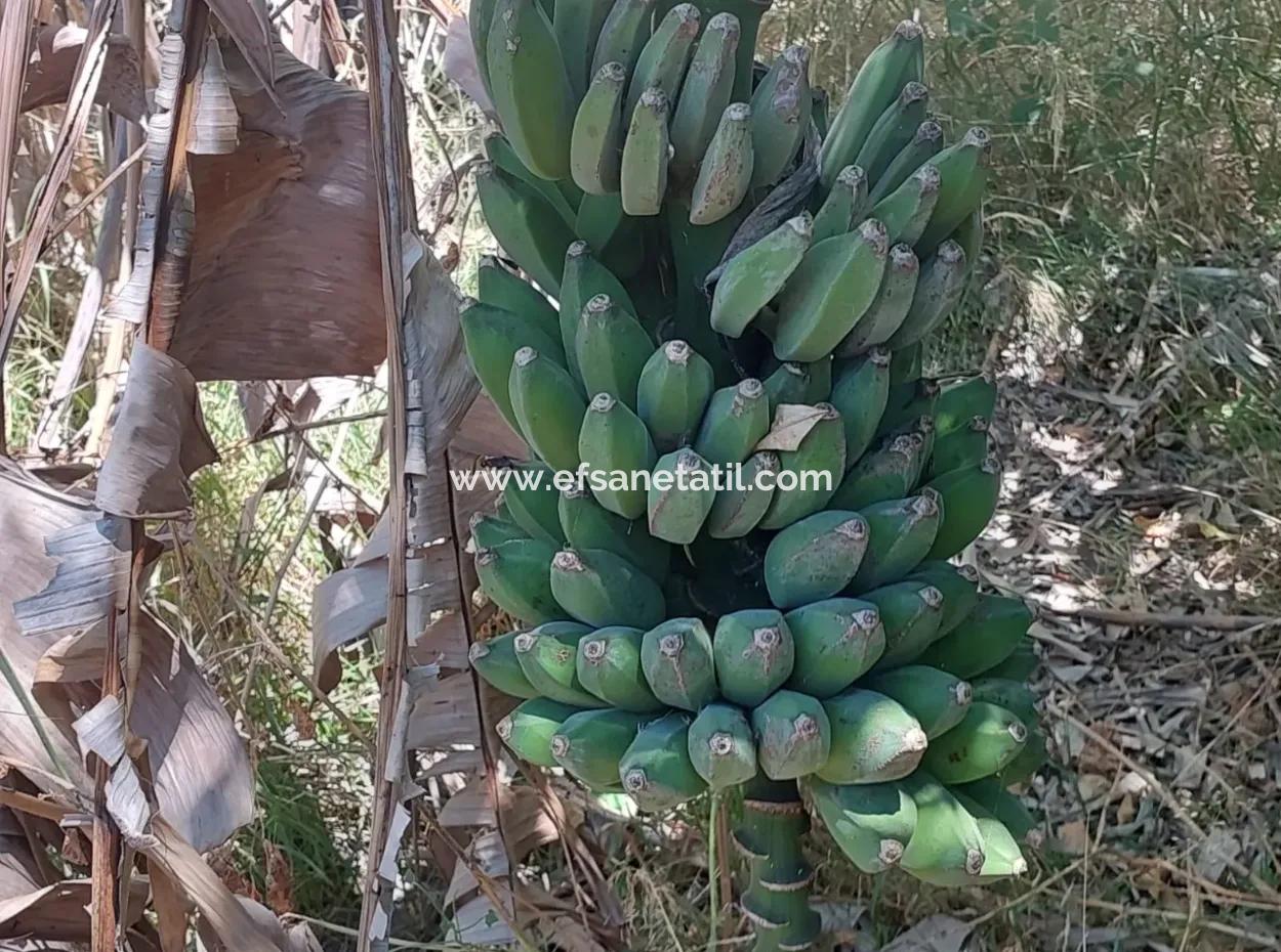 Village House For Sale In Ortaca Okçular Zoning Plan