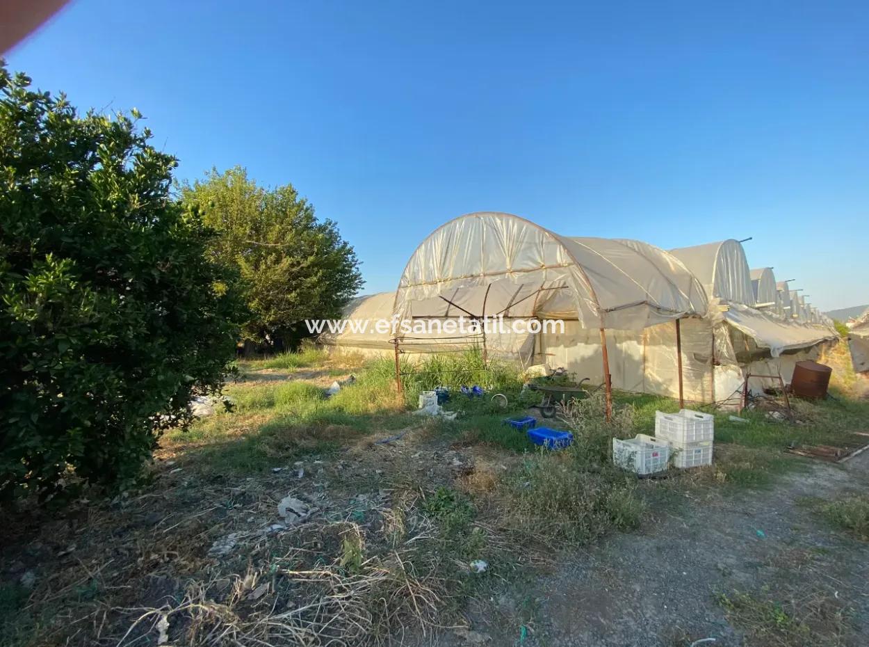 Detached House And Greenhouse For Sale In 5200 M2 Field In Ortaca Eskiköy