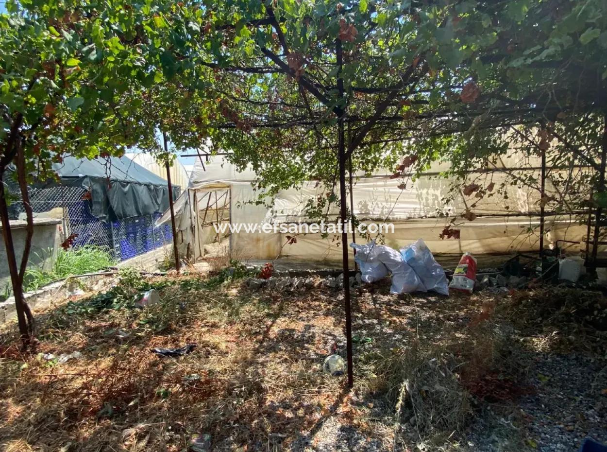 Detached House And Greenhouse For Sale In 5200 M2 Field In Ortaca Eskiköy