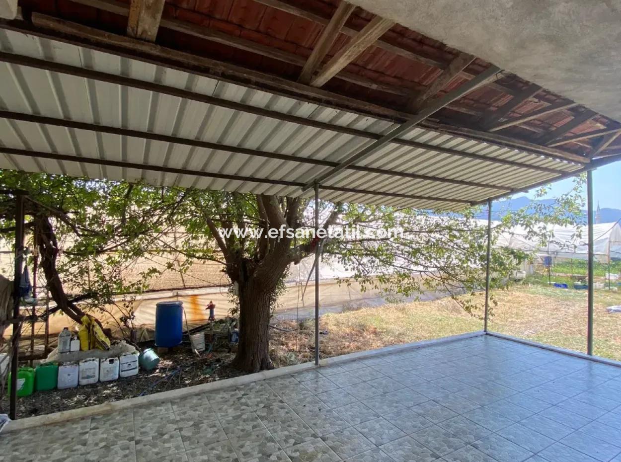 Detached House And Greenhouse For Sale In 5200 M2 Field In Ortaca Eskiköy