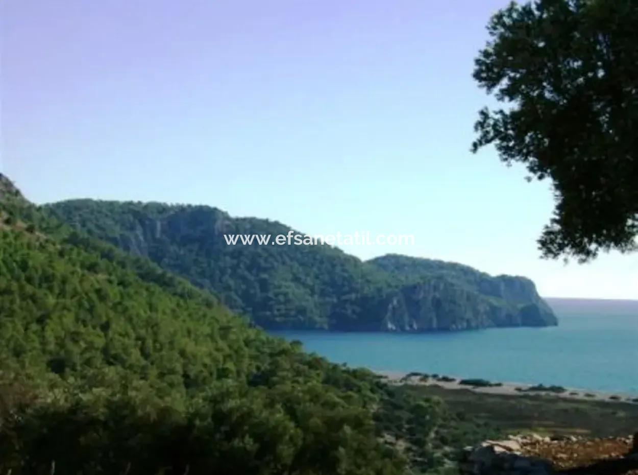 Mugla Dalaman Incebel Land With Sea And Lake Views For Sale