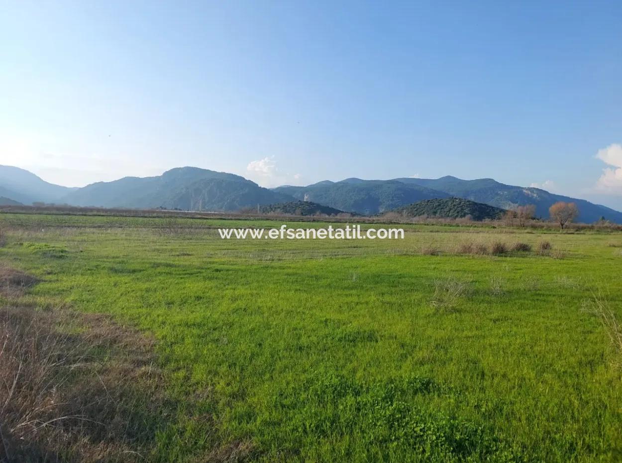 14.500 M² Fertile Land In Ortaca Güzelyurt For Long-Term Rental – Suitable For Animal Husbandry
