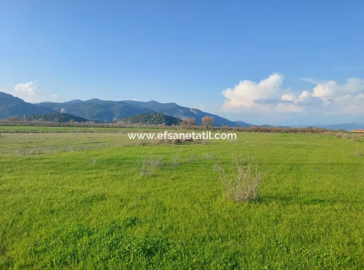 14.500 M² Fertile Land In Ortaca Güzelyurt For Long-Term Rental – Suitable For Animal Husbandry