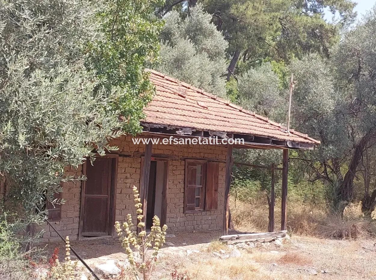 Village House With Lake View And Olive Grove Land For Sale In Köyceğiz Çandır, Muğla