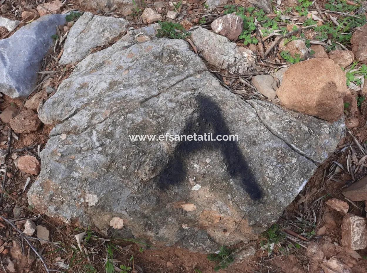 The Right Of Possession Of 3 100 M2 Treasury Land In Muğla Ortaca Dalyan Gökbel Will Be Transferred