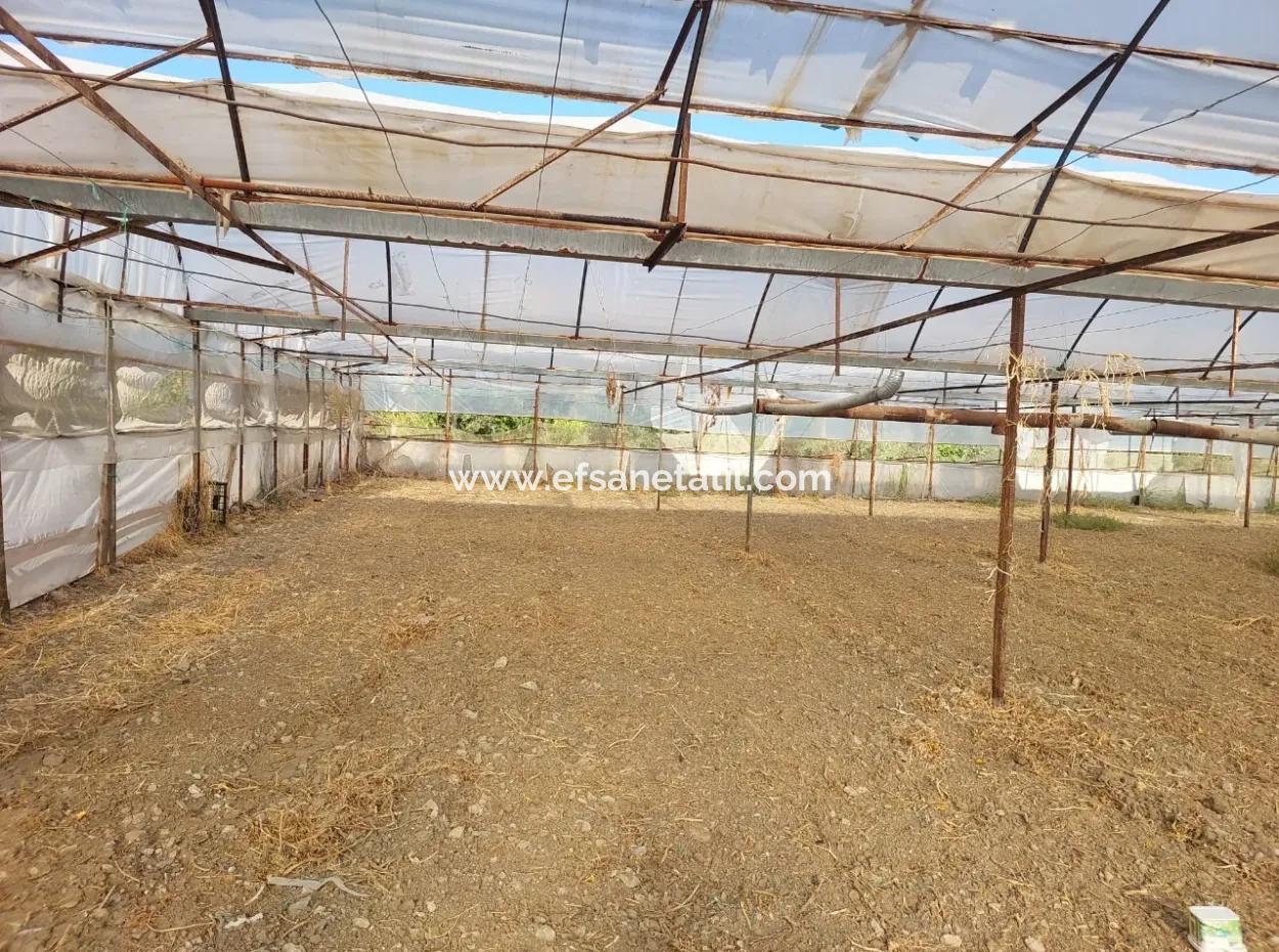 5.850 M² Lake View Land And Village House For Sale In Ortaca Eskiköy