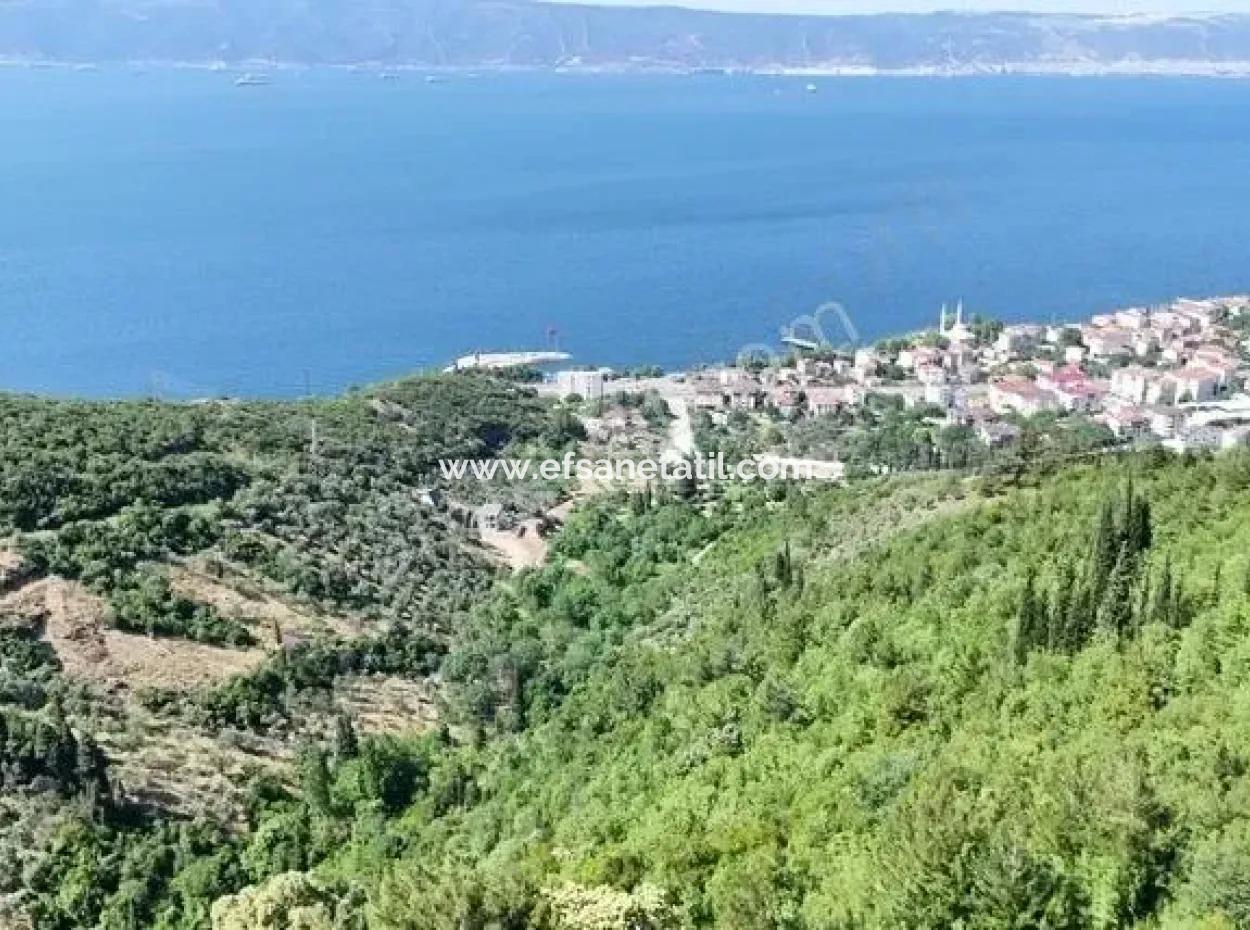 7.534 M² Sea View Investment Opportunity Detached Land For Sale In Kocaeli Ereğli