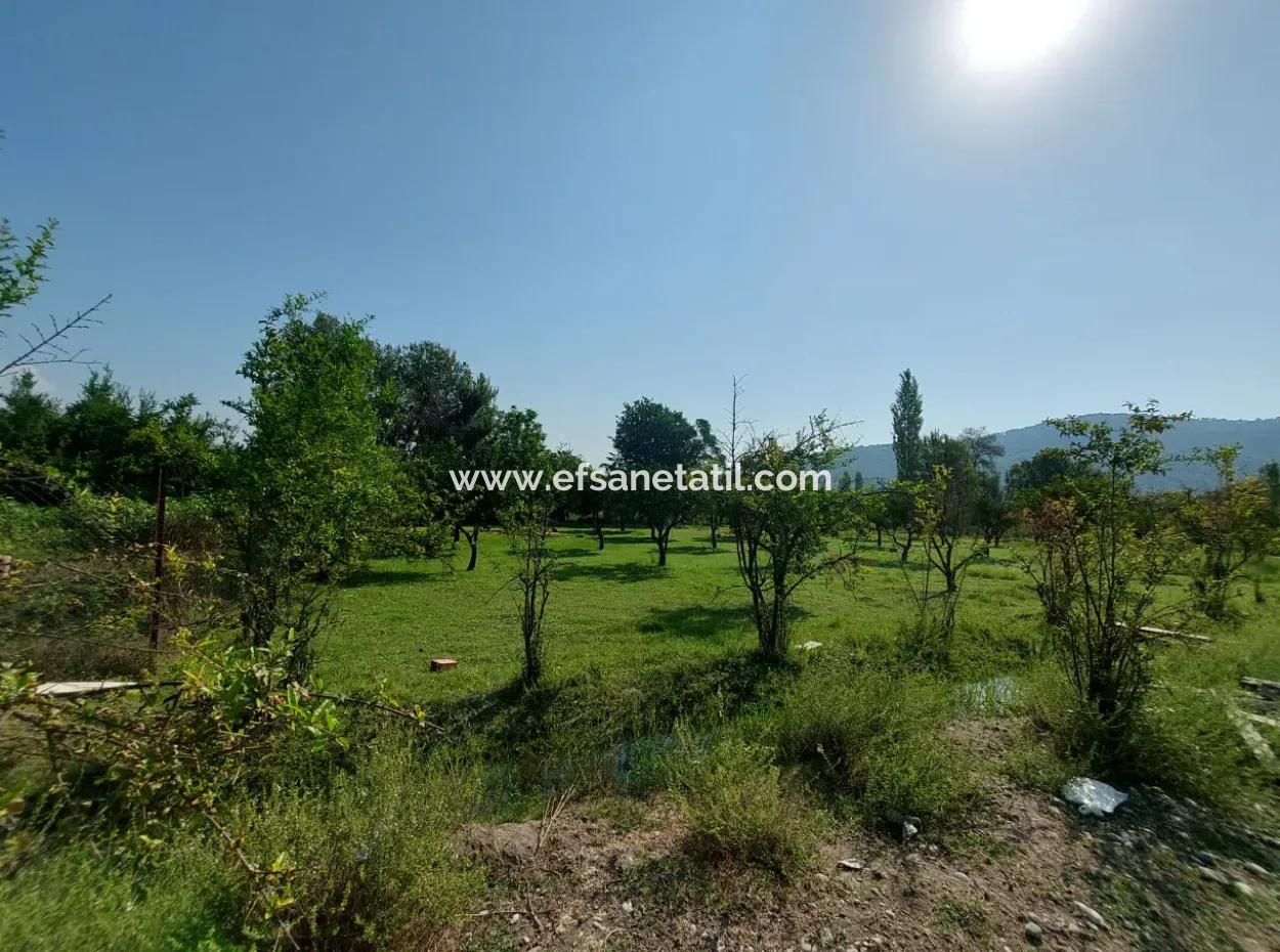 2.500 M² Detached Title Deed Investment Land For Sale In Ortaca Kemaliye