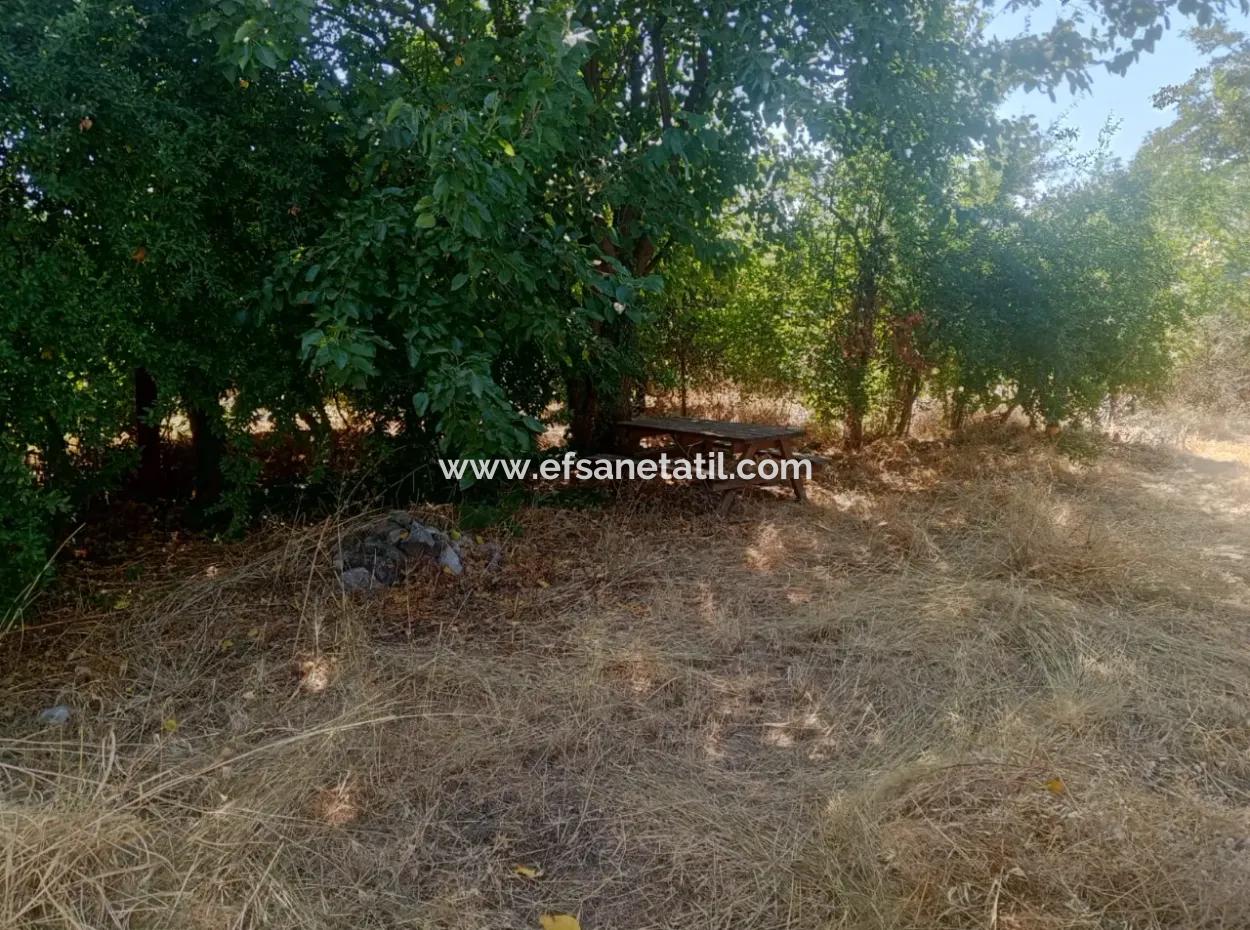 3 1 Furnished Detached House For Rent