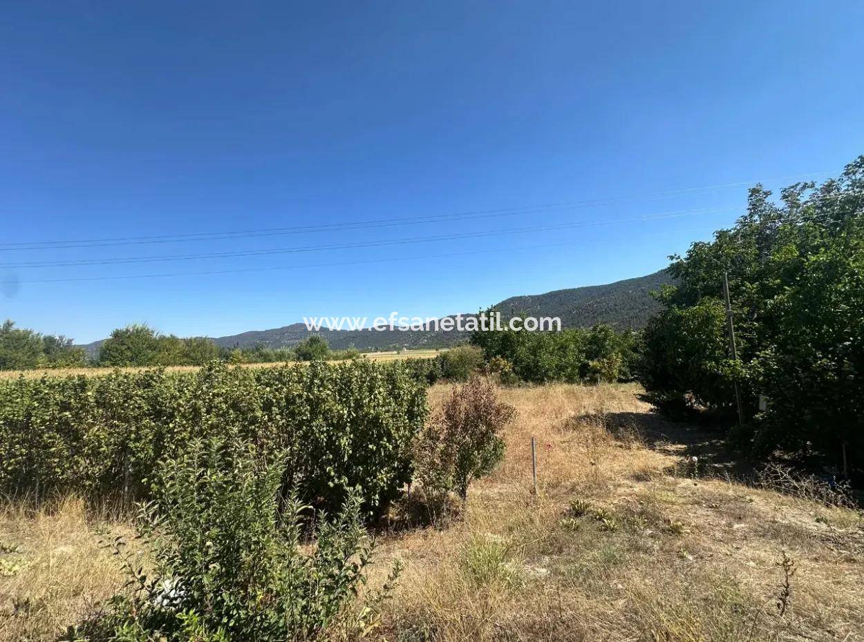 3070 M2 Walnut Orchard For Sale On The Side Of The Main Road In Denizli Çameli