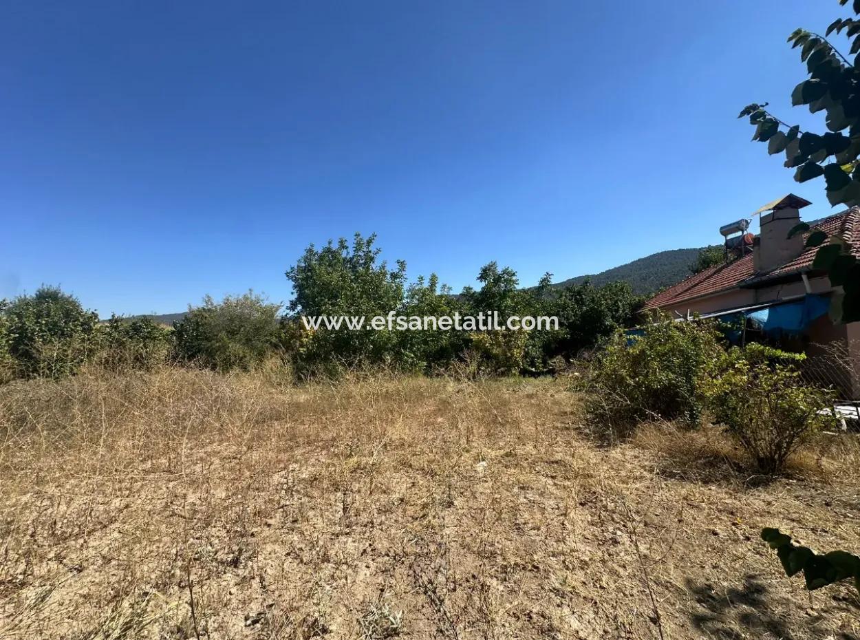 3070 M2 Walnut Orchard For Sale On The Side Of The Main Road In Denizli Çameli