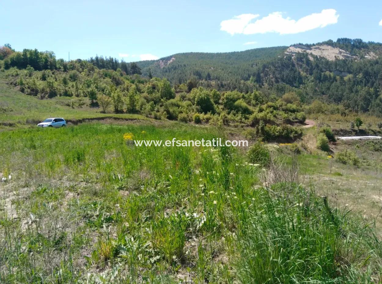Çameli Kolakta Bargain 20 000 M2 Detached Title Deed Land Is For Sale Or Exchange.