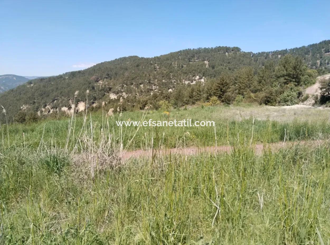 Çameli Kolakta Bargain 20 000 M2 Detached Title Deed Land Is For Sale Or Exchange.