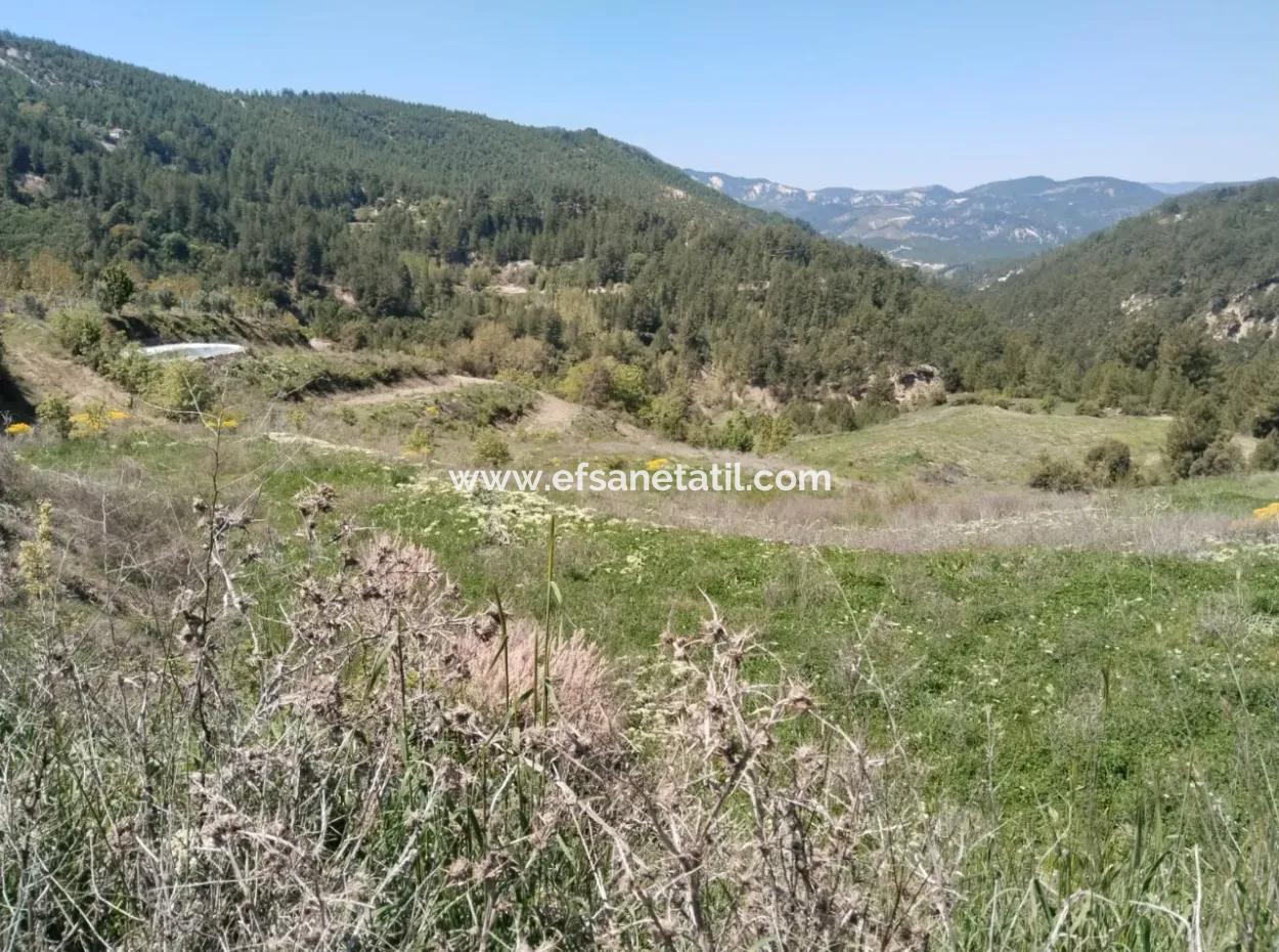 Çameli Kolakta Bargain 20 000 M2 Detached Title Deed Land Is For Sale Or Exchange.