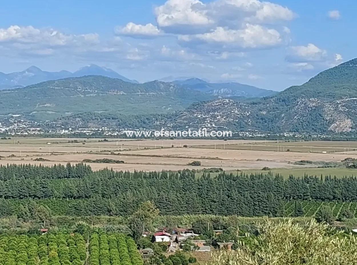 Ortaca Fevziye Sea And Nature View Bargain Detached Olive Grove For Sale