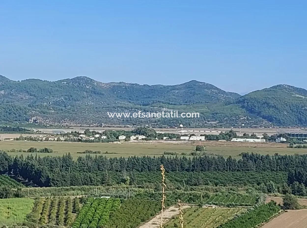 Ortaca Fevziye Sea And Nature View Bargain Detached Olive Grove For Sale