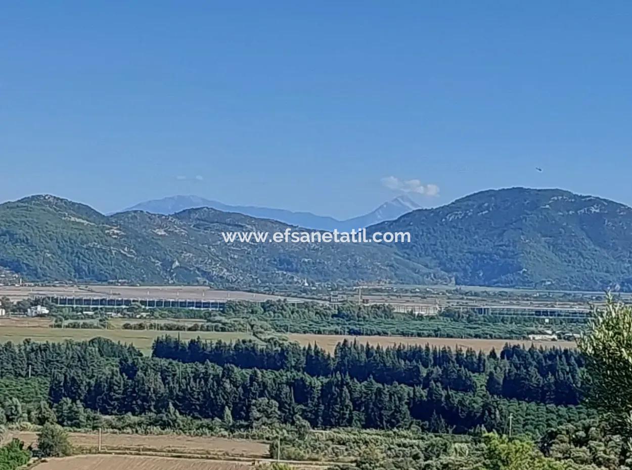 Ortaca Fevziye Sea And Nature View Bargain Detached Olive Grove For Sale