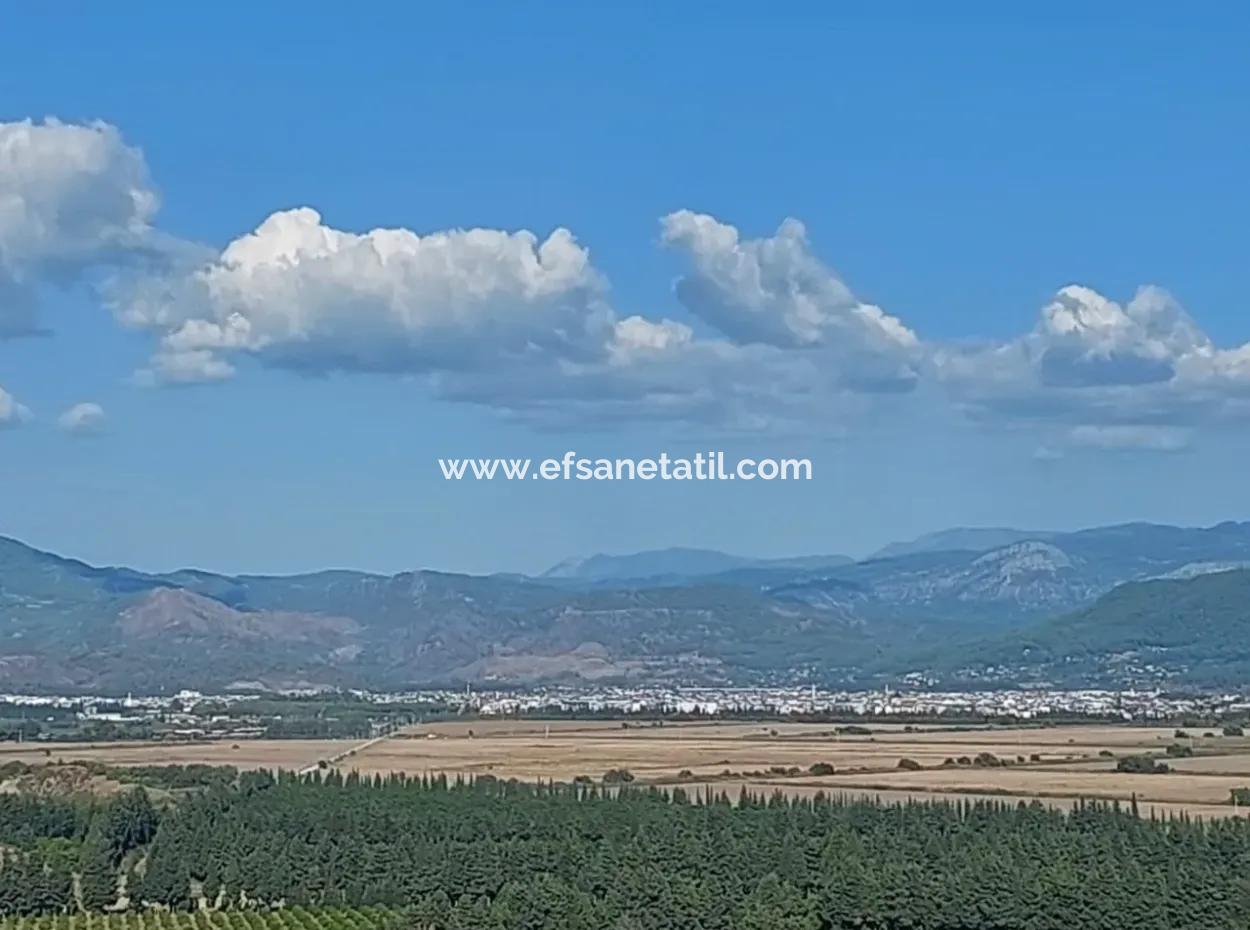 Ortaca Fevziye Sea And Nature View Bargain Detached Olive Grove For Sale