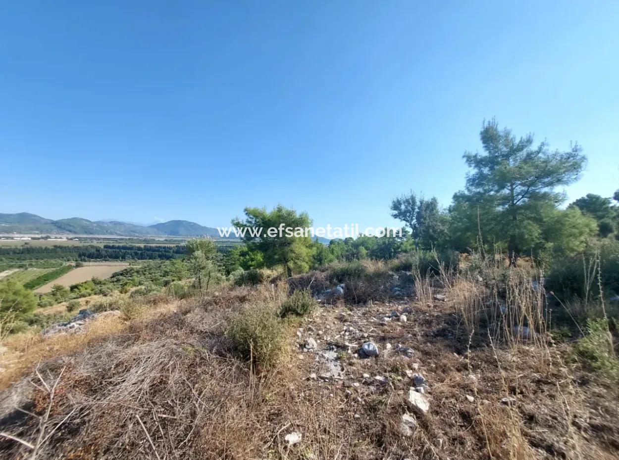 Ortaca Fevziye Sea And Nature View Bargain Detached Olive Grove For Sale