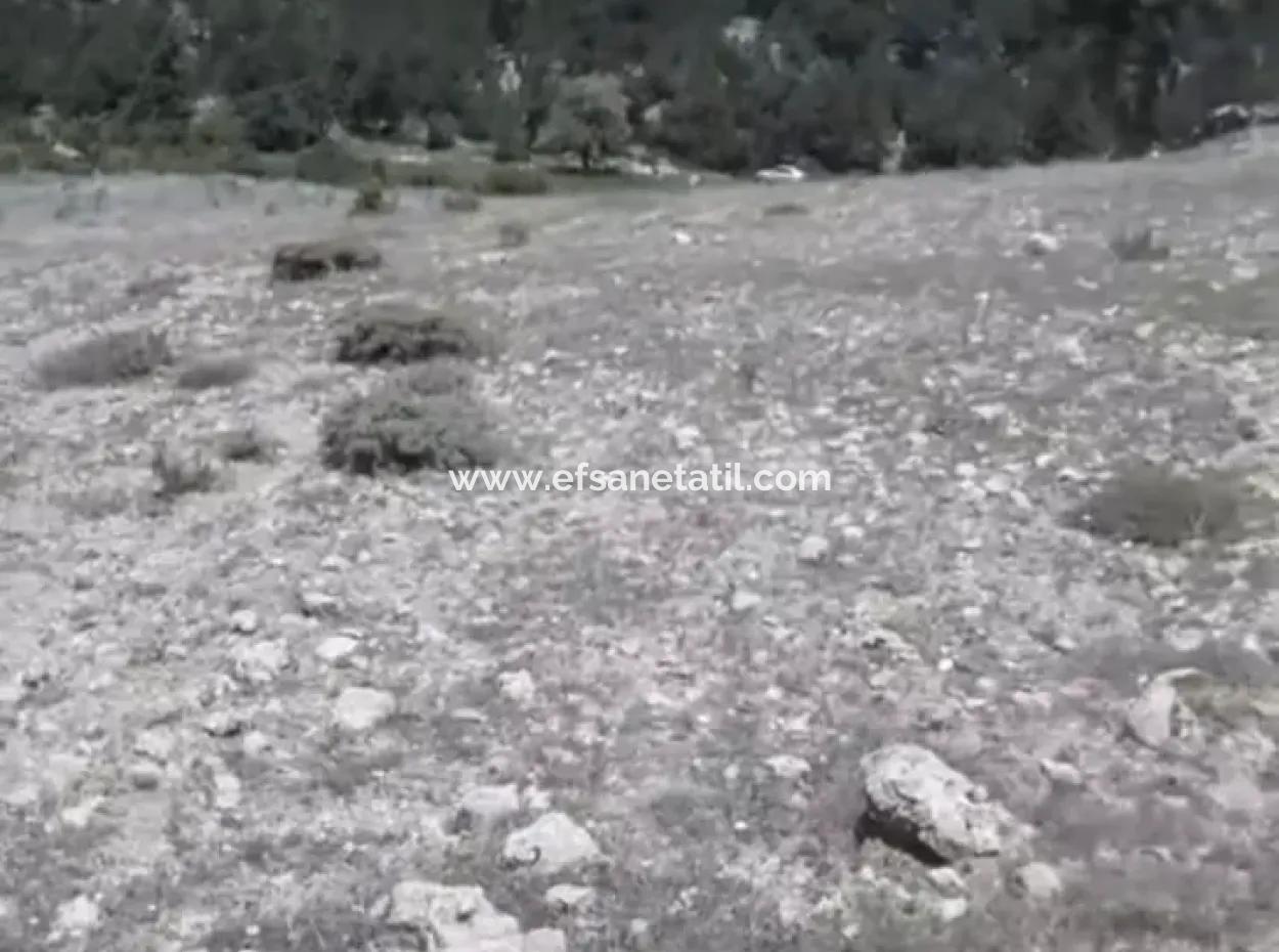 1770 M2 Field For Sale In Çameli Ayvacık