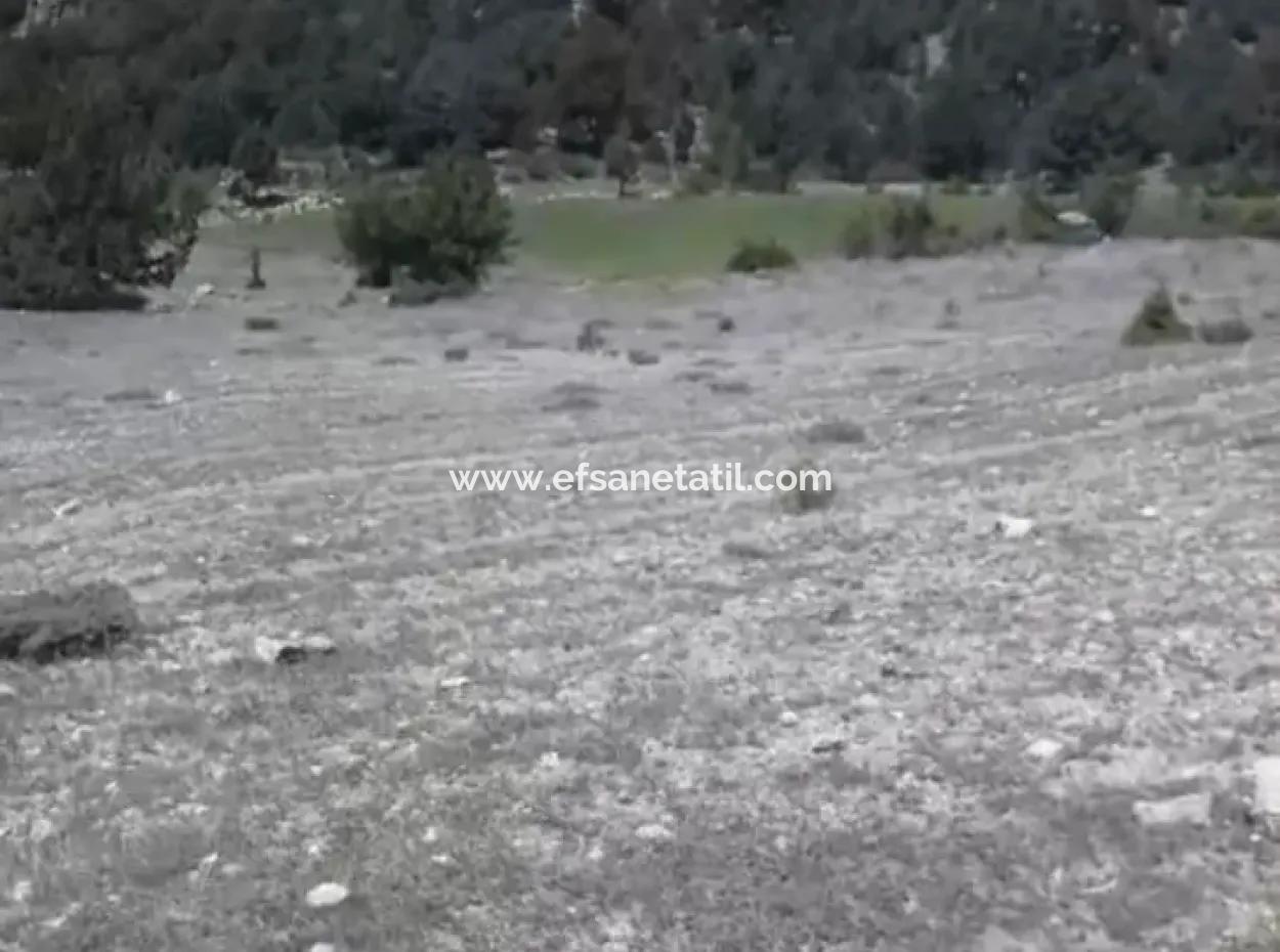 1770 M2 Field For Sale In Çameli Ayvacık