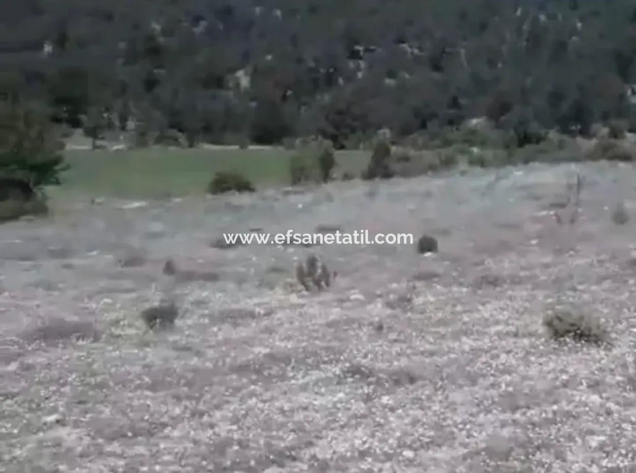 1770 M2 Field For Sale In Çameli Ayvacık