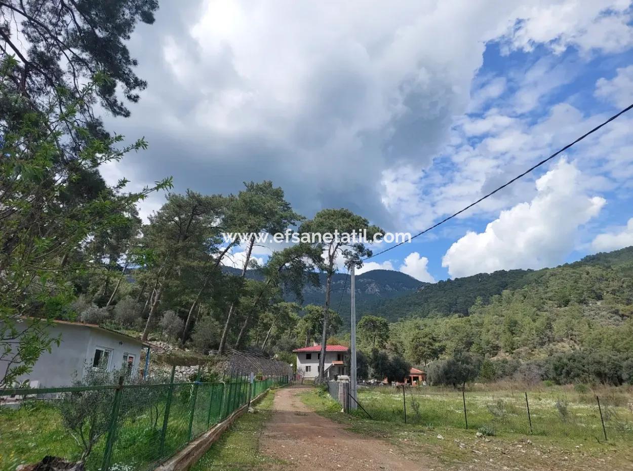 1 000 M2 Land For Sale In Muğla Köyceğiz Çandır Center