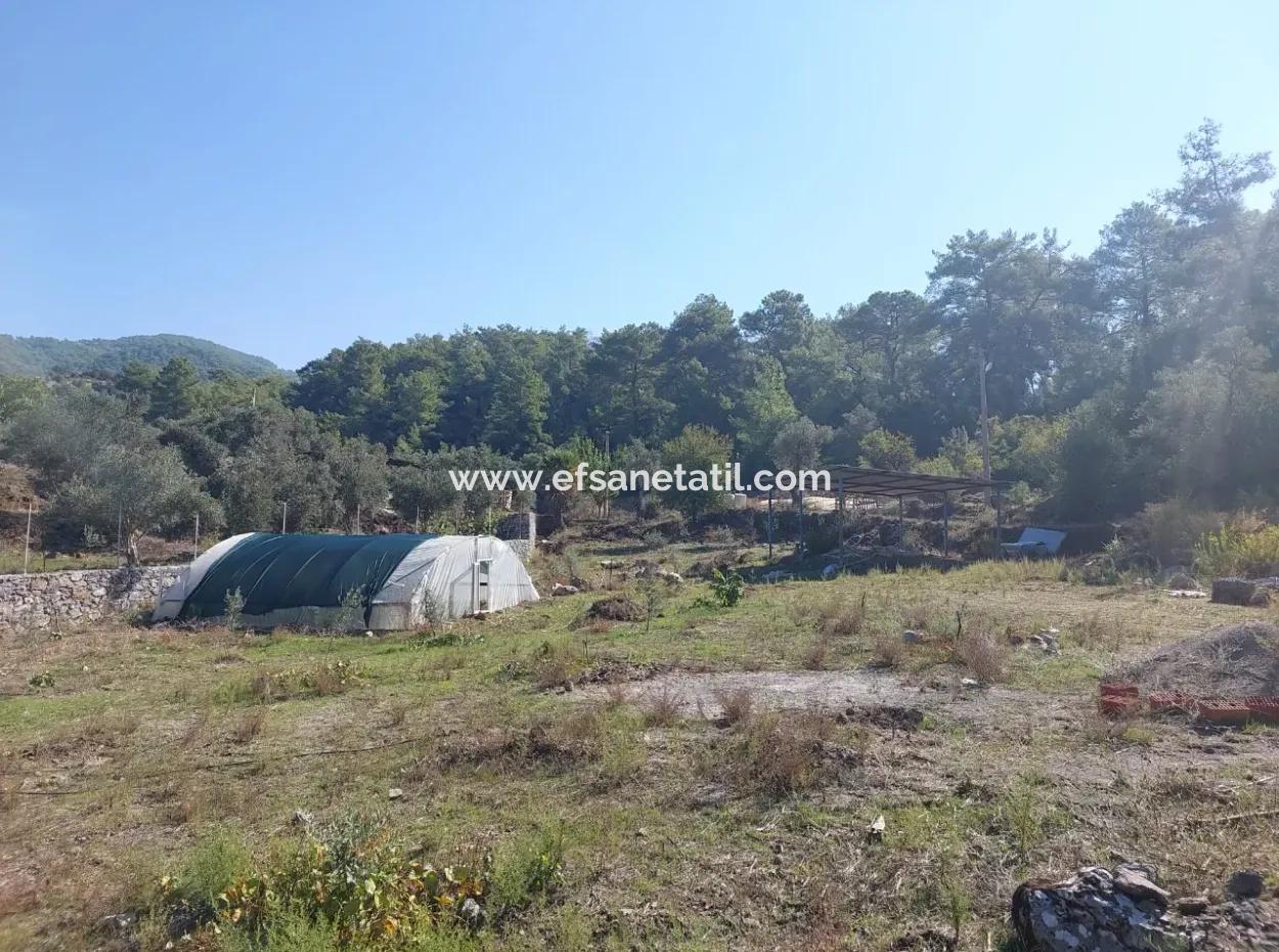 400 M2 Land Close To The Lake In Ortaca Gökbel Is For Sale