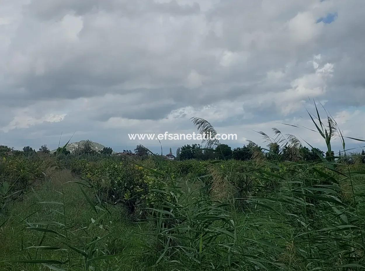 5.000 M2 Land With 150 M2 Construction Right Is For Sale In Muğla Dalyan